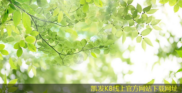 凱發(fā)K8在線官網(wǎng)一體化地埋式污水處理設(shè)備的維護(hù)保養(yǎng)技巧