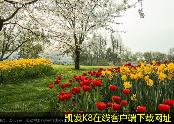 K8凱發(fā)app官網(wǎng)不同類型多介質(zhì)過濾器的特點(diǎn)介紹