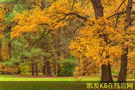 凱發(fā)K8官網(wǎng)地址圓環(huán)形葉片散流器的工作原理詳解