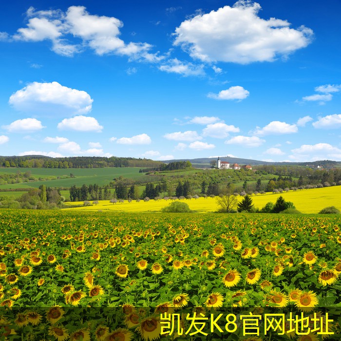 凱發(fā)K8在線官網(wǎng)如何提高石英砂過濾器的過濾效率