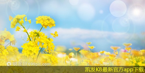 凱發(fā)K8官方網(wǎng)站如何清潔和保養(yǎng)立式空調(diào)機(jī)組