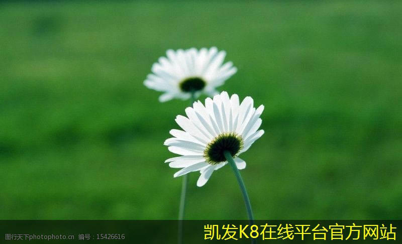 凱發(fā)K8官方網(wǎng)站app官網(wǎng)屋頂自然通風(fēng)機(jī)的市場(chǎng)前景分析