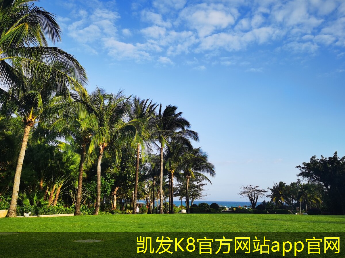 凱發(fā)K8官方手機app消聲器的市場趨勢與前景分析