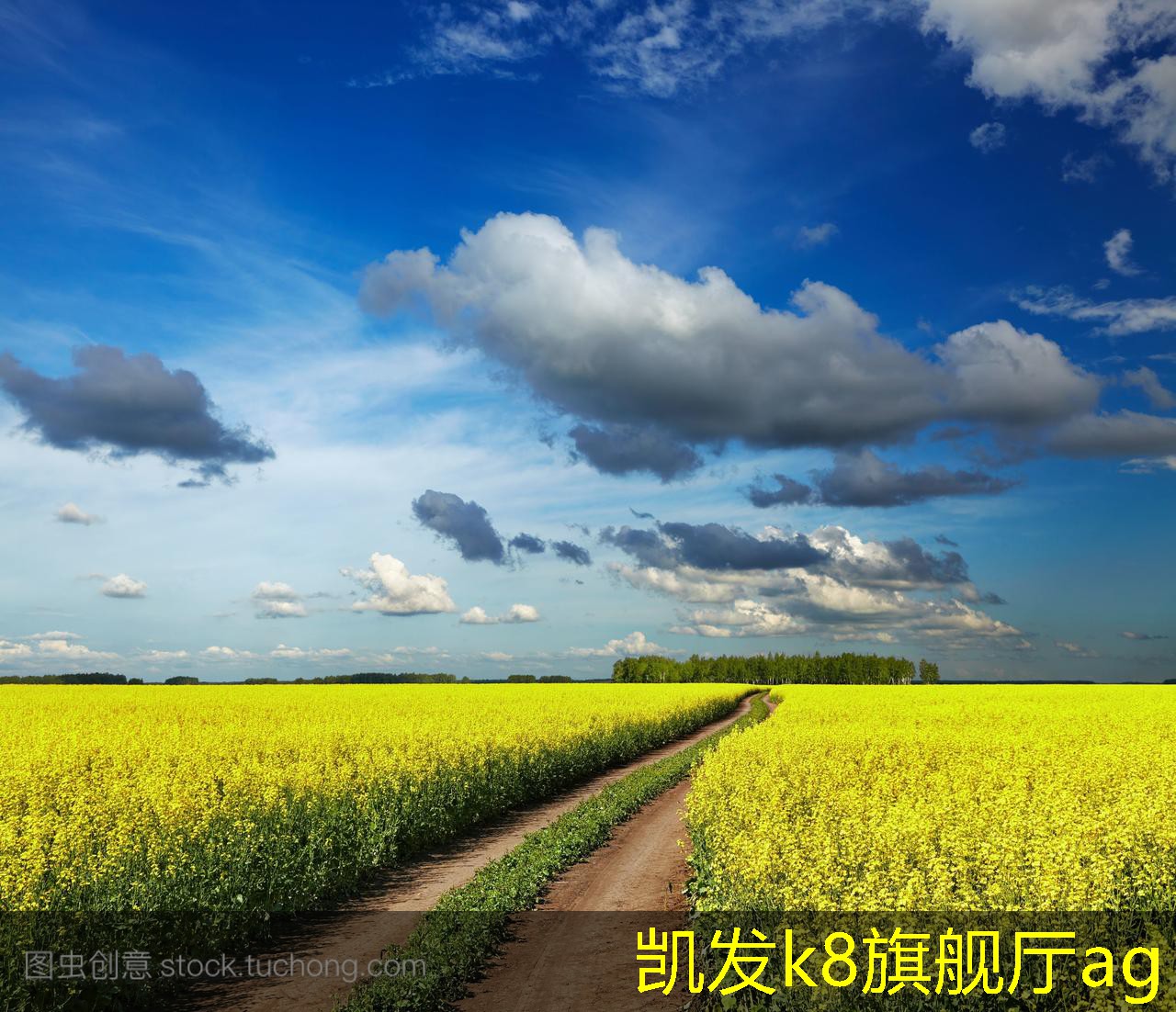 如何優(yōu)化水冷螺桿機組的運行效率