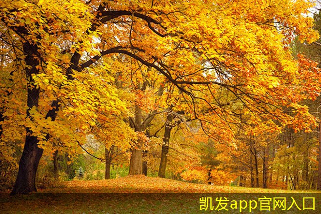 如何維護(hù)單層百葉風(fēng)口的使用壽命