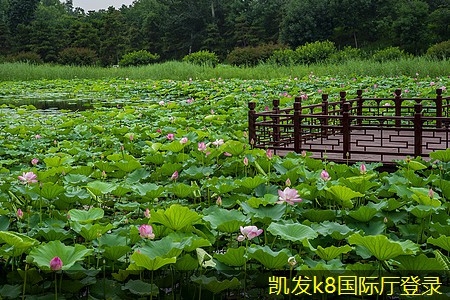 常見故障及T流式風機排查方法