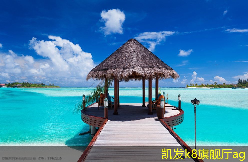 投資者眼中的蛋格式風口前景探討