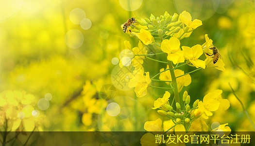 未來科技如何推動遠(yuǎn)程射流機組的發(fā)展
