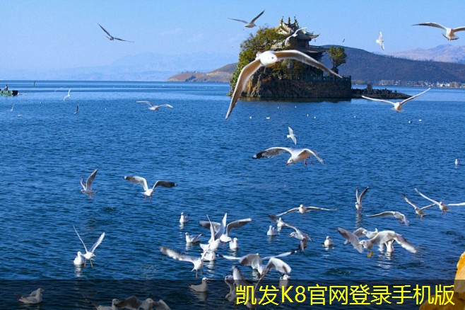 未來風(fēng)機(jī)技術(shù)發(fā)展趨勢與PYHL-的關(guān)系