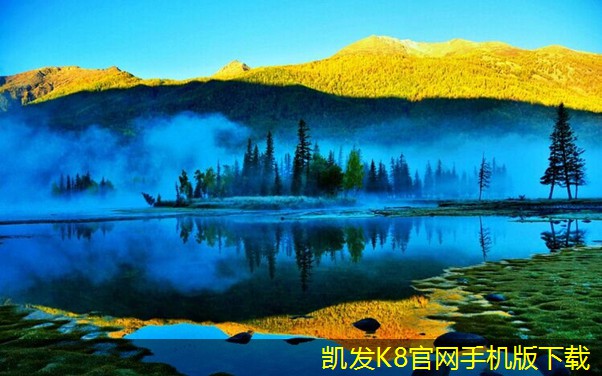 未來風(fēng)機(jī)技術(shù)發(fā)展趨勢與PYHL-的關(guān)系
