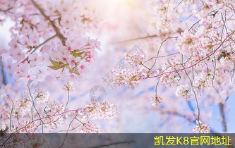 條形散流器在節(jié)能減排中的貢獻(xiàn)
