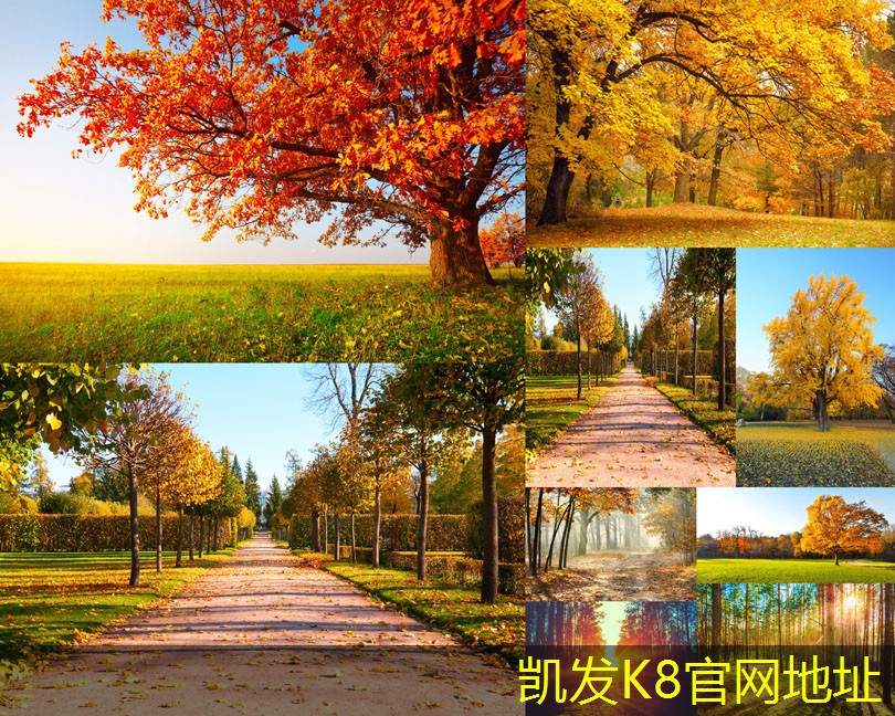 板式排煙口在建筑設(shè)計(jì)中的作用