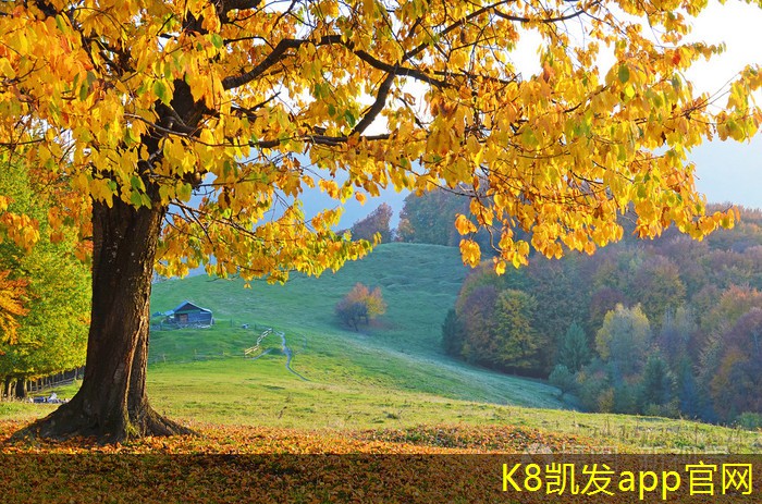 板式排煙口在消防系統(tǒng)中的重要性