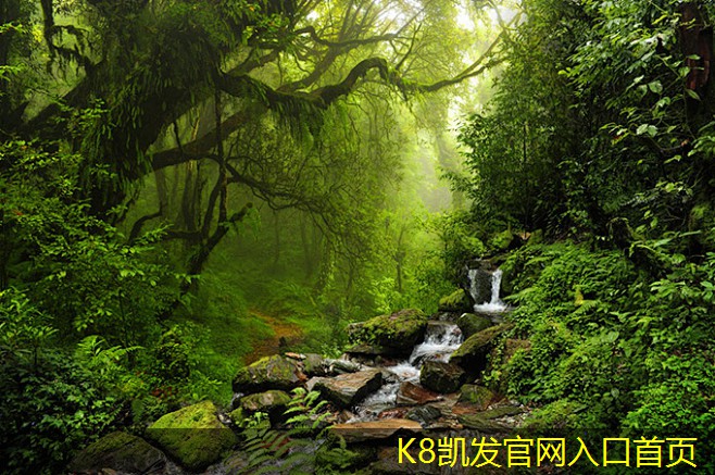 止回閥在水處理系統(tǒng)中的作用