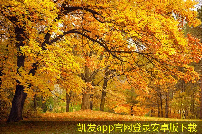止回閥在水處理系統(tǒng)中的作用