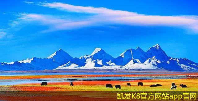 止回閥在消防系統(tǒng)中的應(yīng)用