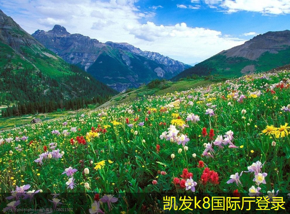水冷螺桿機(jī)組在制冷行業(yè)的應(yīng)用實例