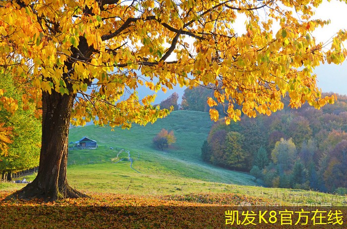 水冷螺桿機(jī)組的工作原理與應(yīng)用解析