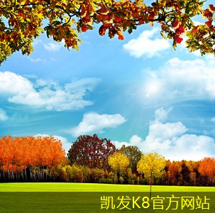 活性炭過(guò)濾器在寵物家庭中的作用