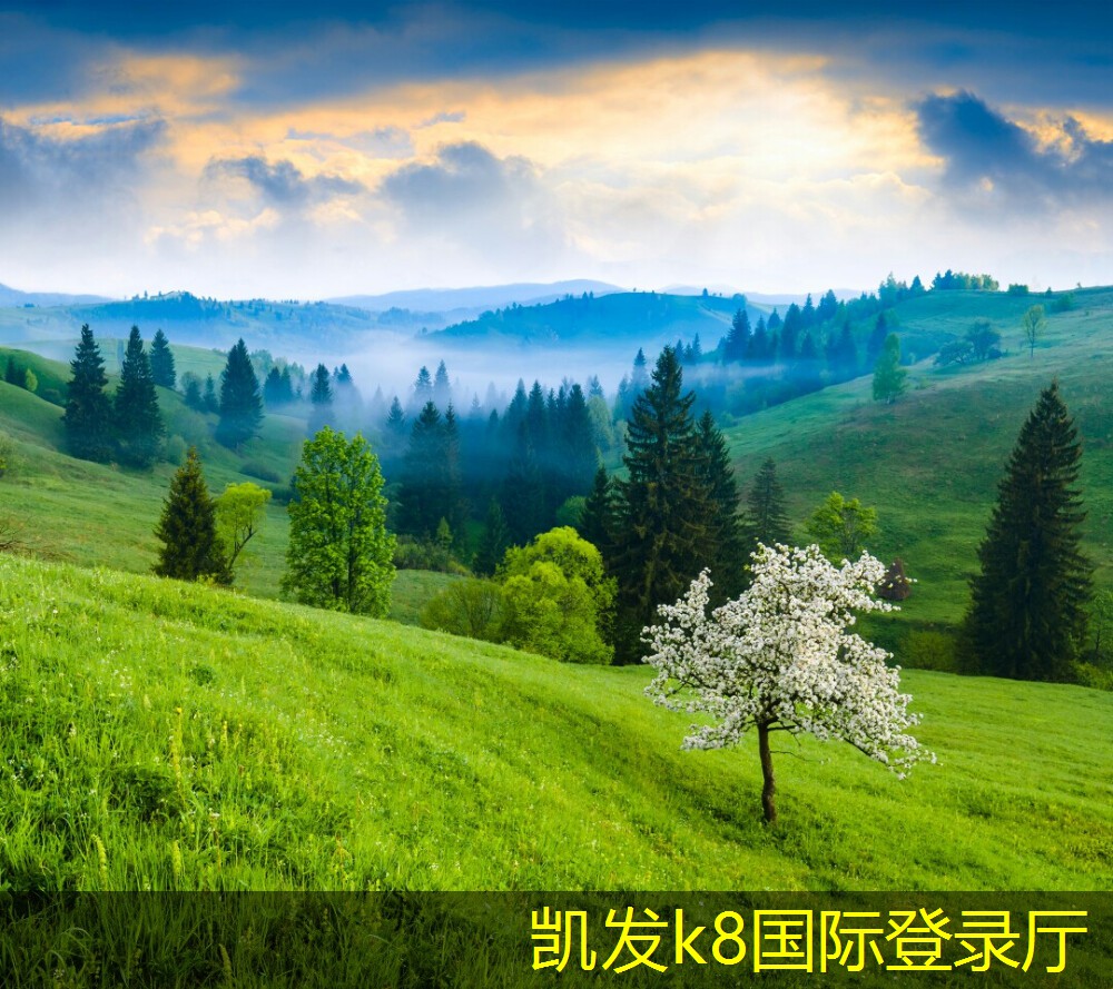 活性炭過濾器的科學(xué)研究進(jìn)展