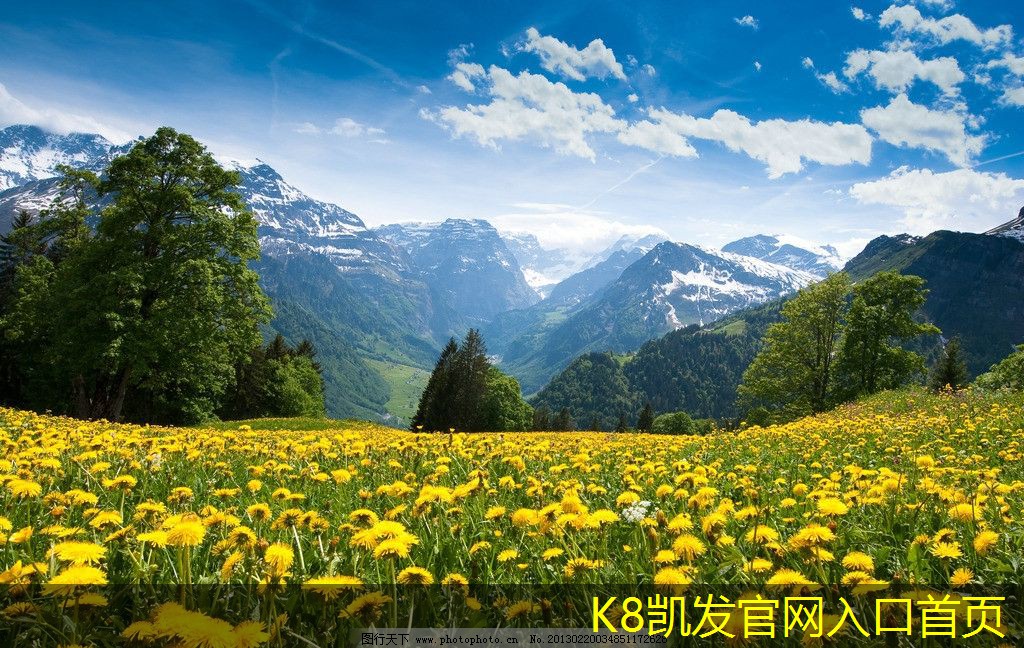 渦凹氣浮機在水處理中的應用