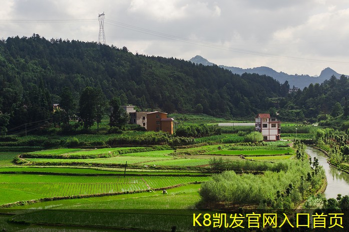 渦凹?xì)飧C(jī)的工作原理解析