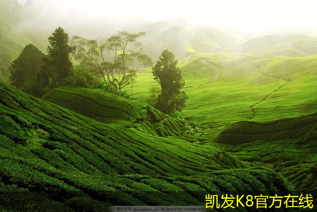 渦凹?xì)飧C的市場前景展望