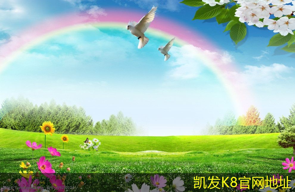 渦凹氣浮機的技術(shù)優(yōu)勢