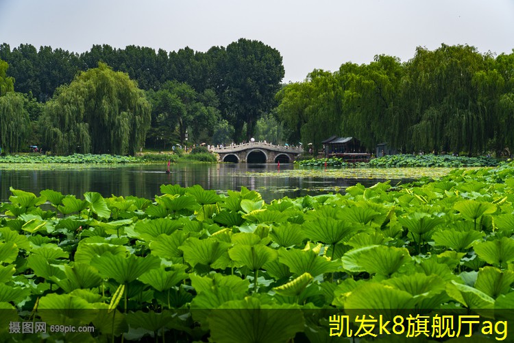 球形可調(diào)風(fēng)口的市場(chǎng)需求與發(fā)展機(jī)會(huì)