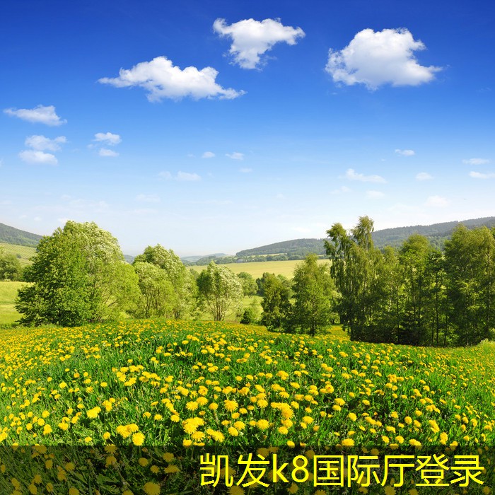 立式空調(diào)機組與傳統(tǒng)空調(diào)的對比分析