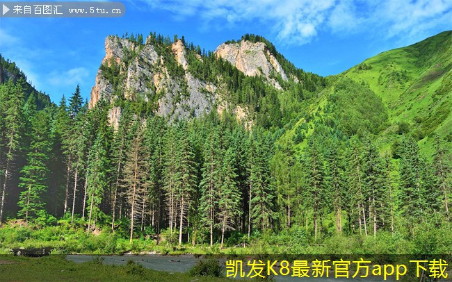 管道過(guò)濾器在家庭水系統(tǒng)中的應(yīng)用