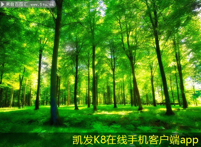 自垂百葉式風口的工作原理解析