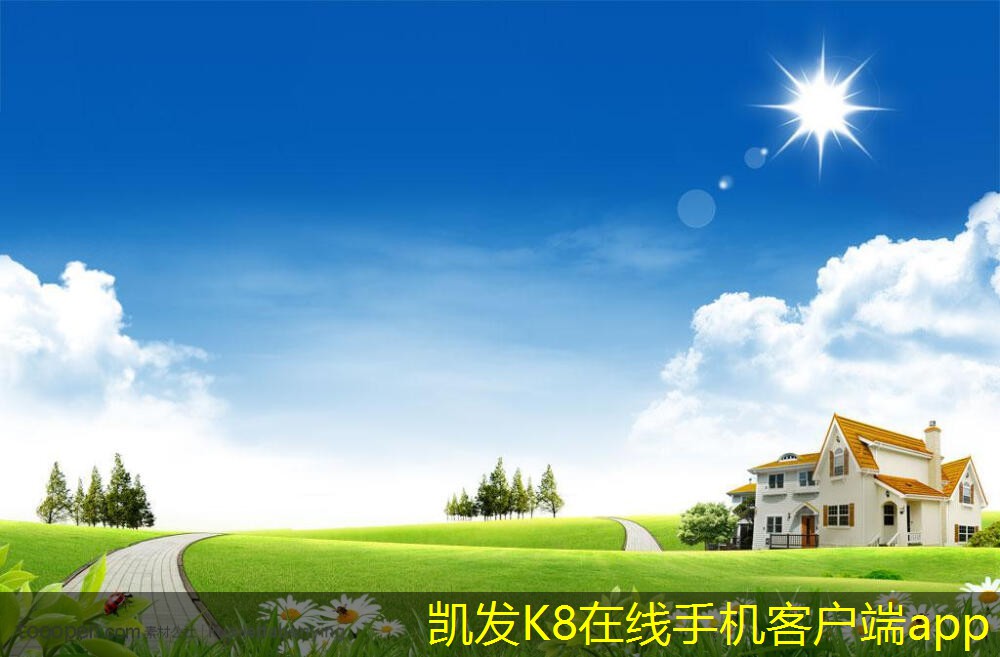 蛋格式風(fēng)口下的競爭策略分析