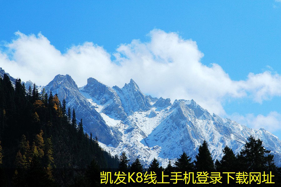 蛋格式風(fēng)口與新經(jīng)濟(jì)模式的結(jié)合