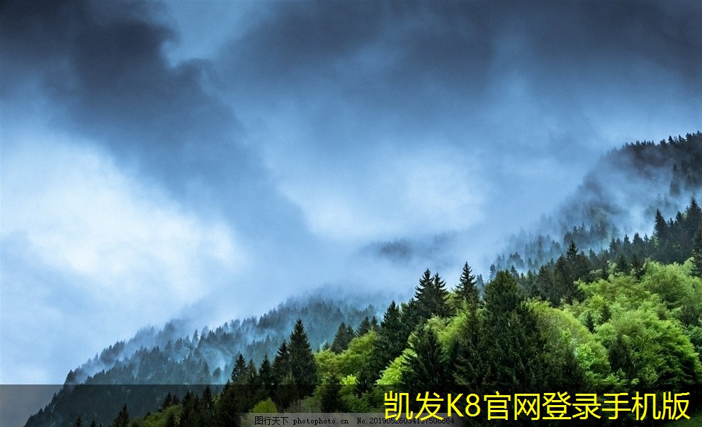 蛋格式風(fēng)口與新經(jīng)濟(jì)模式的結(jié)合