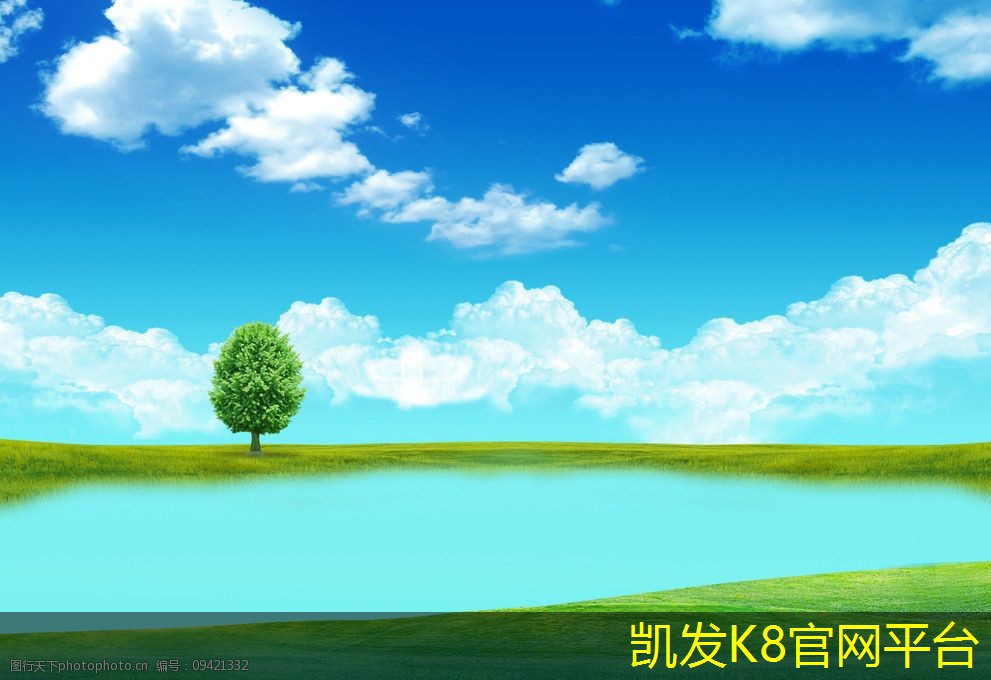 蛋格式風(fēng)口的崛起與其背后的邏輯