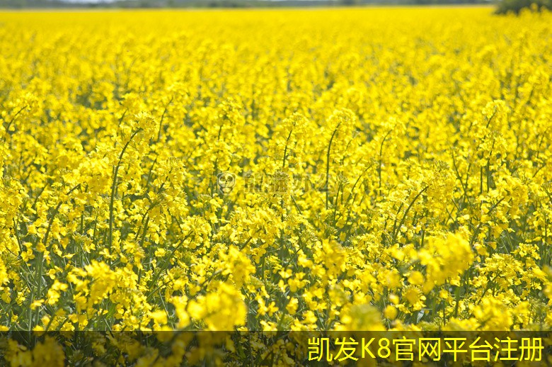表冷器與空氣處理設(shè)備的協(xié)調(diào)