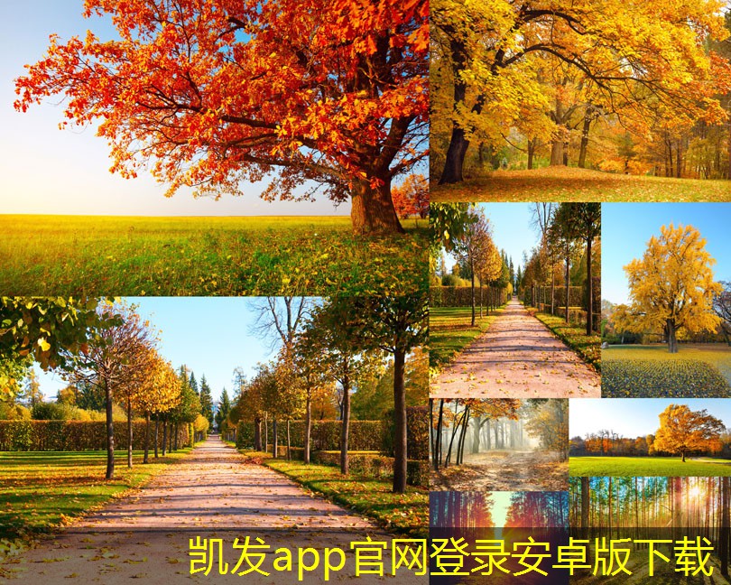 閉式冷卻塔在制冷系統(tǒng)中的角色