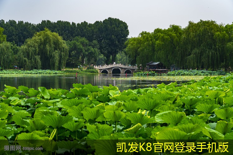 閉式冷卻塔的工作原理與應(yīng)用解析