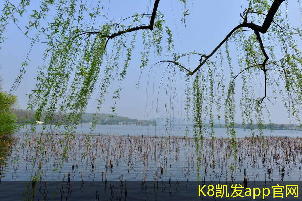 風冷模塊機組的市場前景分析